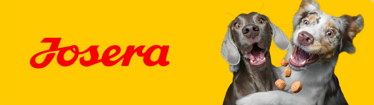 Josera Hundefutter günstig bestellen