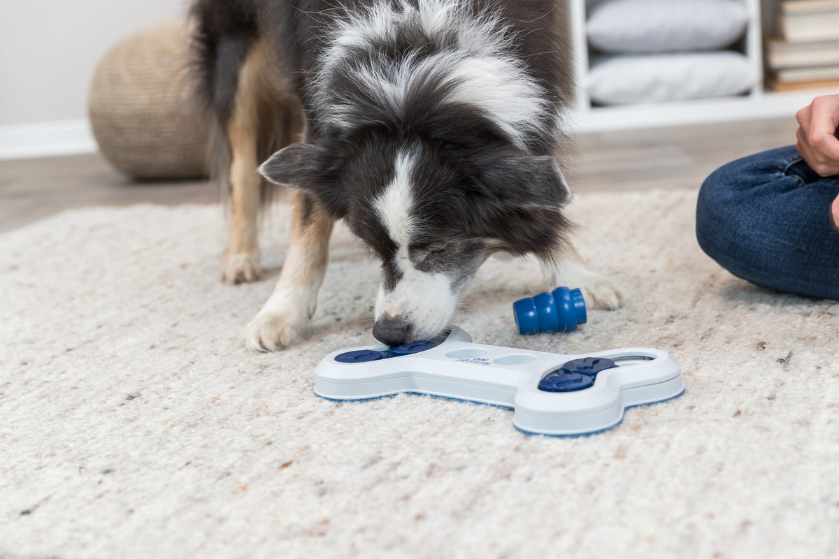 Intelligenzspielzeug für Hunde, intelligentes Hundespielzeug Hundespiele