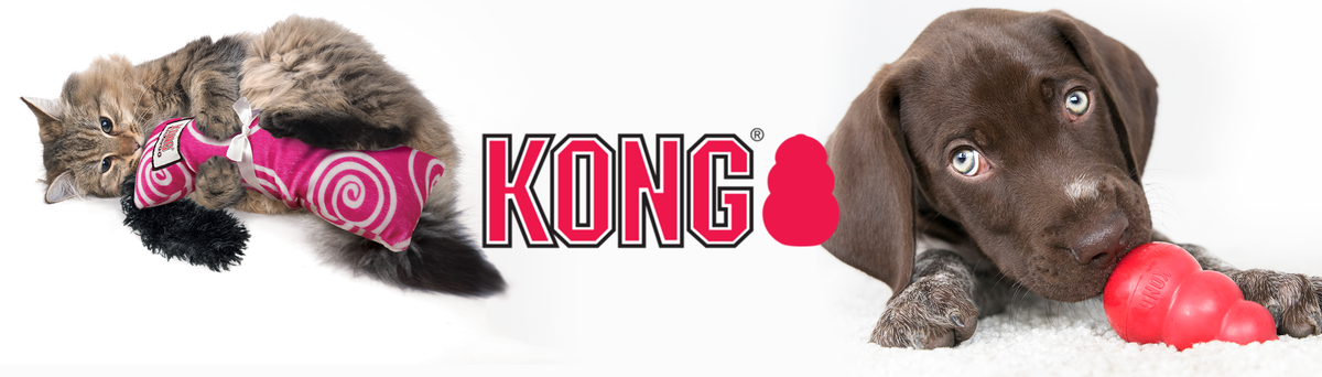 KONG Spielzeug für Hunde und Katzen