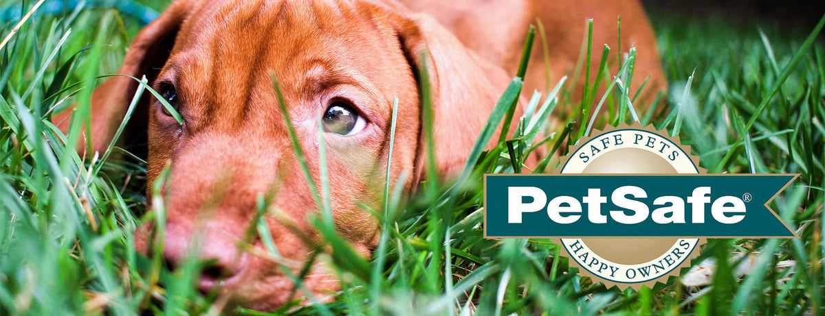 Petsafe Online Shop