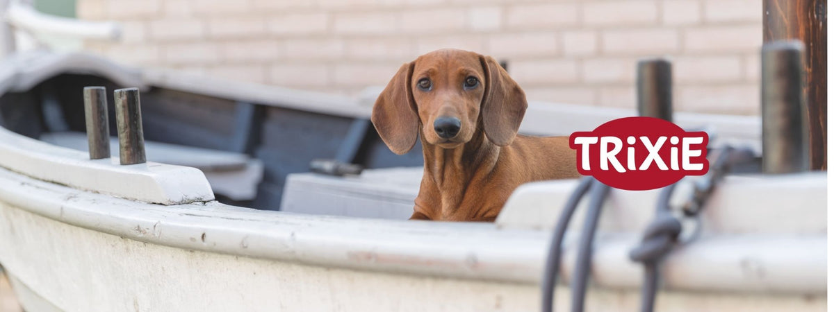 Aktuelle Trixie Heimtierbedarf Neuheiten für Hunde