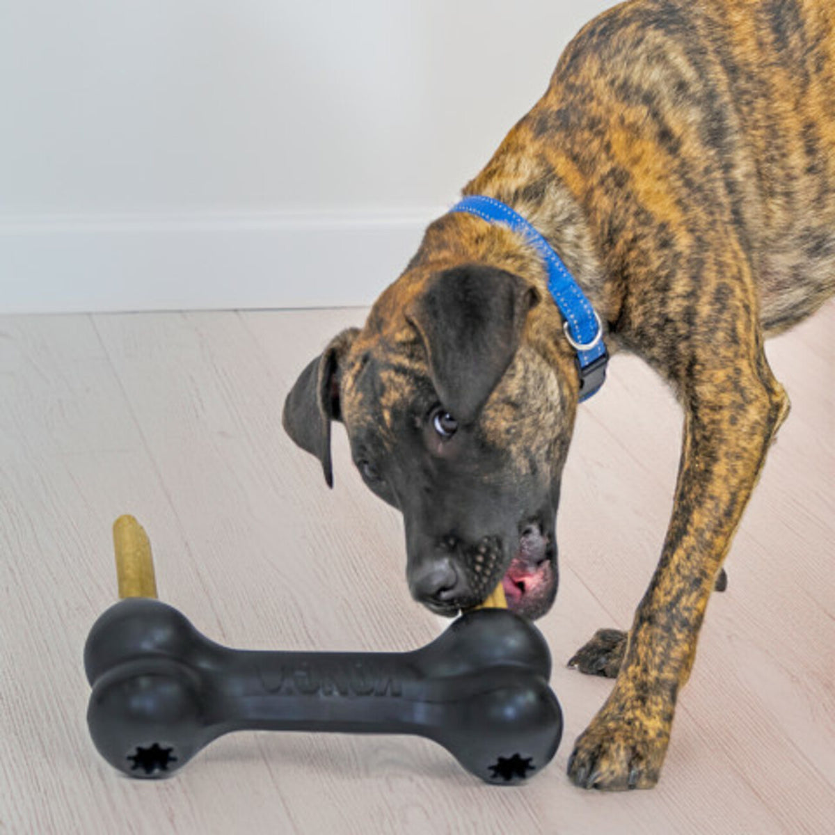 Extreme Goodie Bone XL – 26 cm