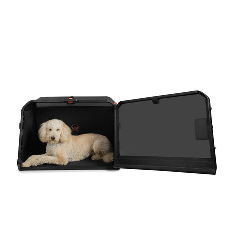 Hundetransportbox Origami, auf Knopfdruck zusammenfaltbar