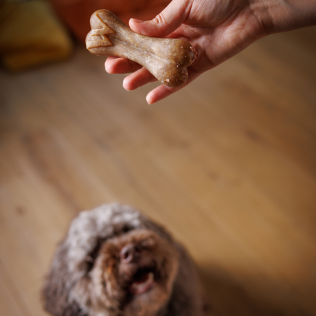WHIMZEES® Reisknochen Zahnpflege Hundesnack Größe: M/L – M/L 360 g