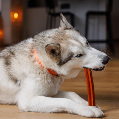 WHIMZEES® Zahnpflege Stix Hundesnack, lose