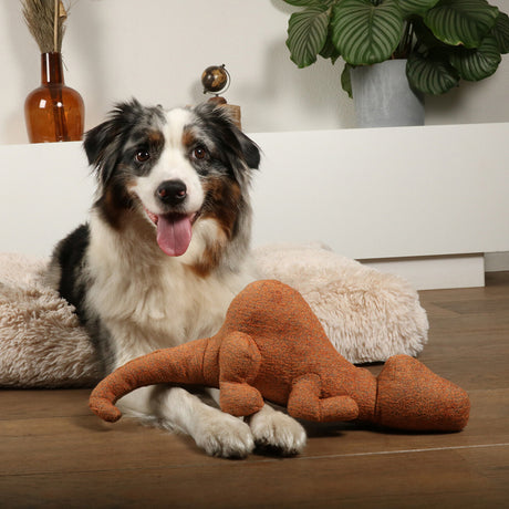 D&D HOME Hundespielzeug Quasi – Robuster Chenille-Kumpel mit Knotenseil – 41x20x13 cm