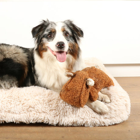 D&D HOME Hundespielzeug Emmy aus Teddystoff mit Quietscher & Knotenseil – 30x14x12 cm