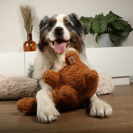 D&D Home Liz Hundespielzeug aus weichem Teddystoff – 27x18x15 cm