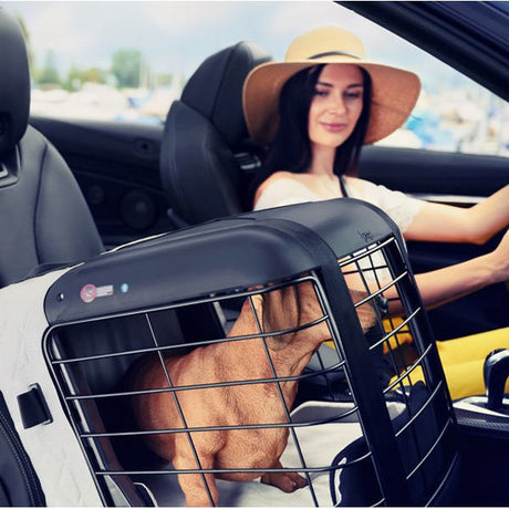 4Pets Dog Caree Hundebox Transportbox für Hunde