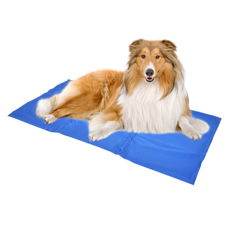 Kühlmatte für Hunde blau