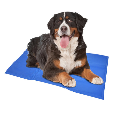 Kühlmatte für Hunde blau
