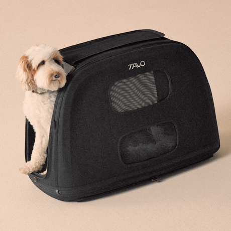 Crispin: Crashgetestete Transportbox für Hunde & Katzen 🐶🐱 – Größe L, Onyx