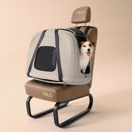 Crispin: Crashgetestete Transportbox für Hunde & Katzen 🐶🐱 – Größe M, Merle