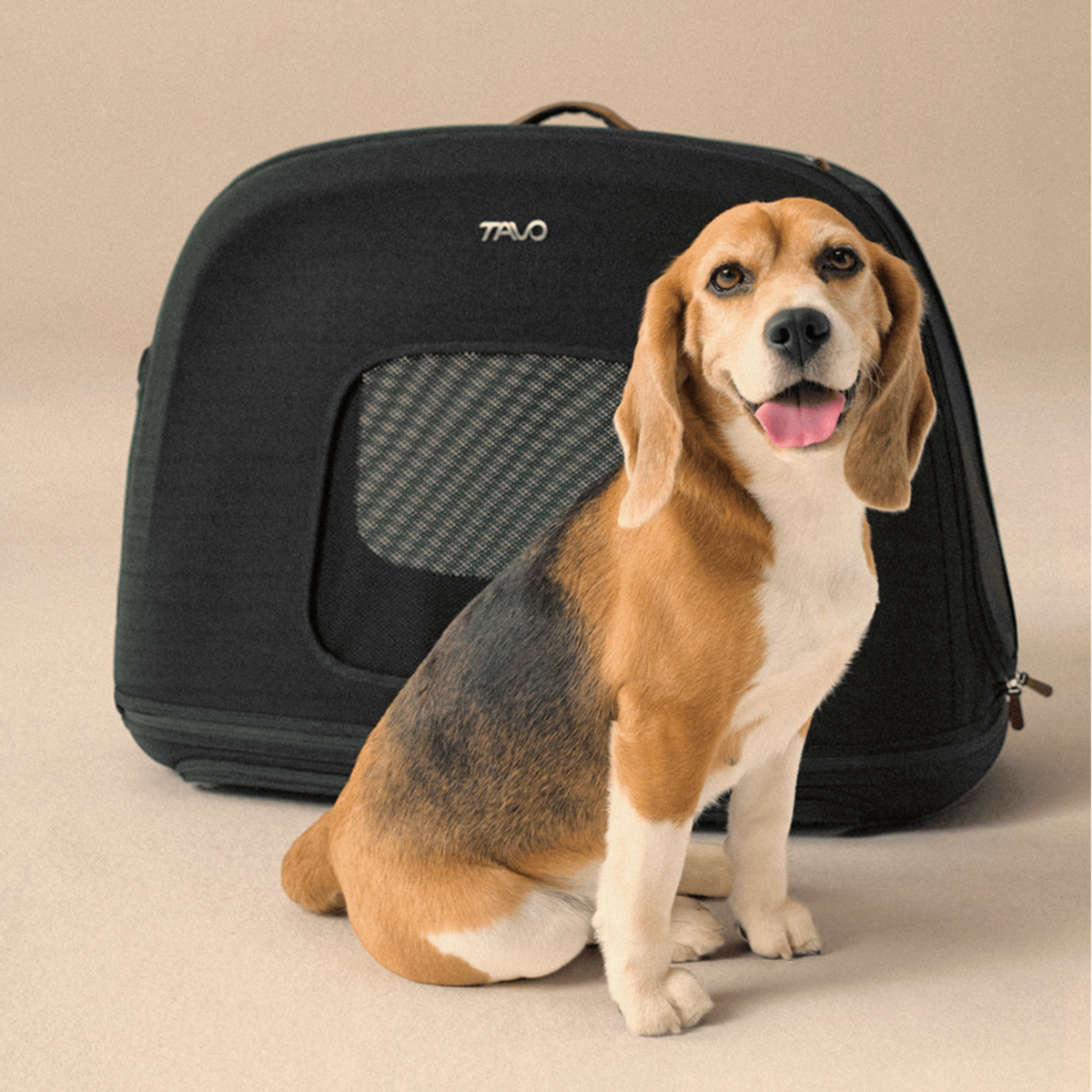 Crispin: Crashgetestete Transportbox für Hunde & Katzen 🐶🐱 – Größe S, Onyx