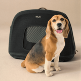 Crispin: Crashgetestete Transportbox für Hunde & Katzen 🐶🐱 – Größe S, Onyx