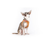 Curli Apple Leather Clasp Vest Geschirr für Hunde