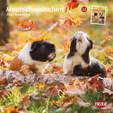TRIXIE 2027 Kalender Meerschweinchen