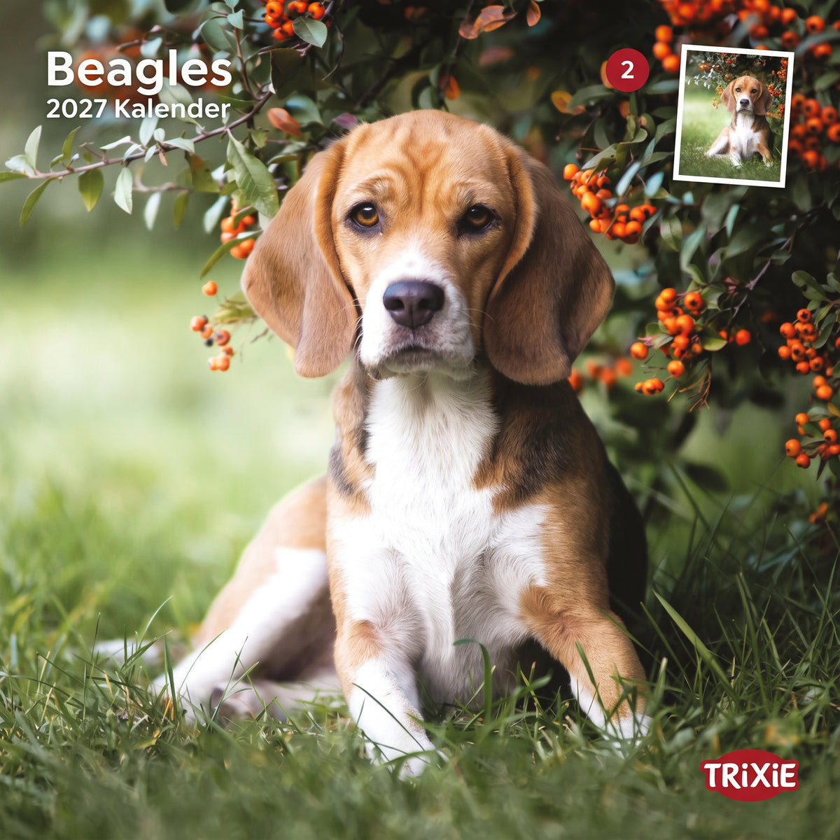 TRIXIE 2027 Hundekalender Beagle