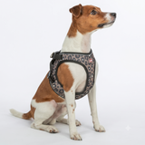 TRIXIE Premium UrbanVest Hundegeschirr im Leo Style – Komfort & Sicherheit | XXS–M