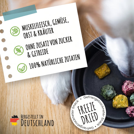 SmoothieDog Bites Rind, gefriergetrocknete Hundesnacks 40 g