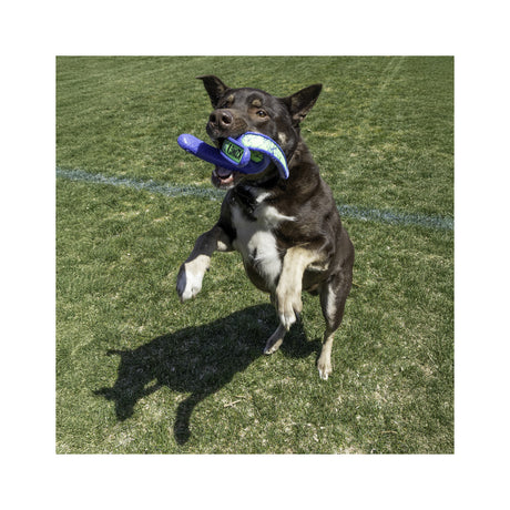 KONG Whirlz Throw Hundespielzeug – Apportierspielzeug mit rotierendem Sprungverhalten