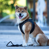 Max & Molly Matrix 2.0: Stylisches Air Vest Hundegeschirr für Deinen Liebling