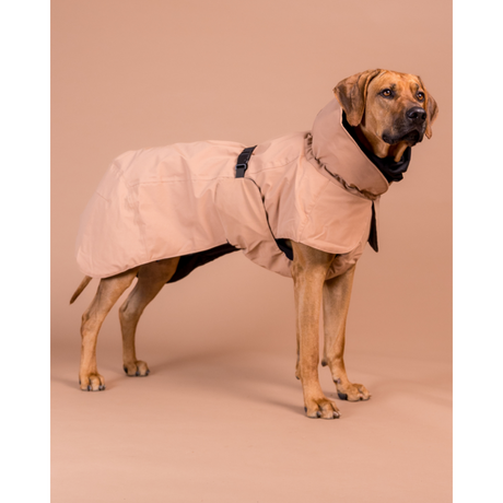 Hochreflektierender Hundewintermantel Wool Taupe