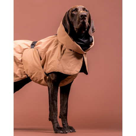 Hochreflektierender Hundewintermantel Wool Taupe