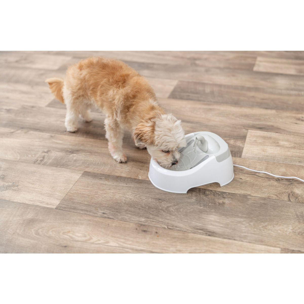 Wasserautomat für Hunde und Katzen Duo Stream – weiß/grau, 1l Fassungsvermögen