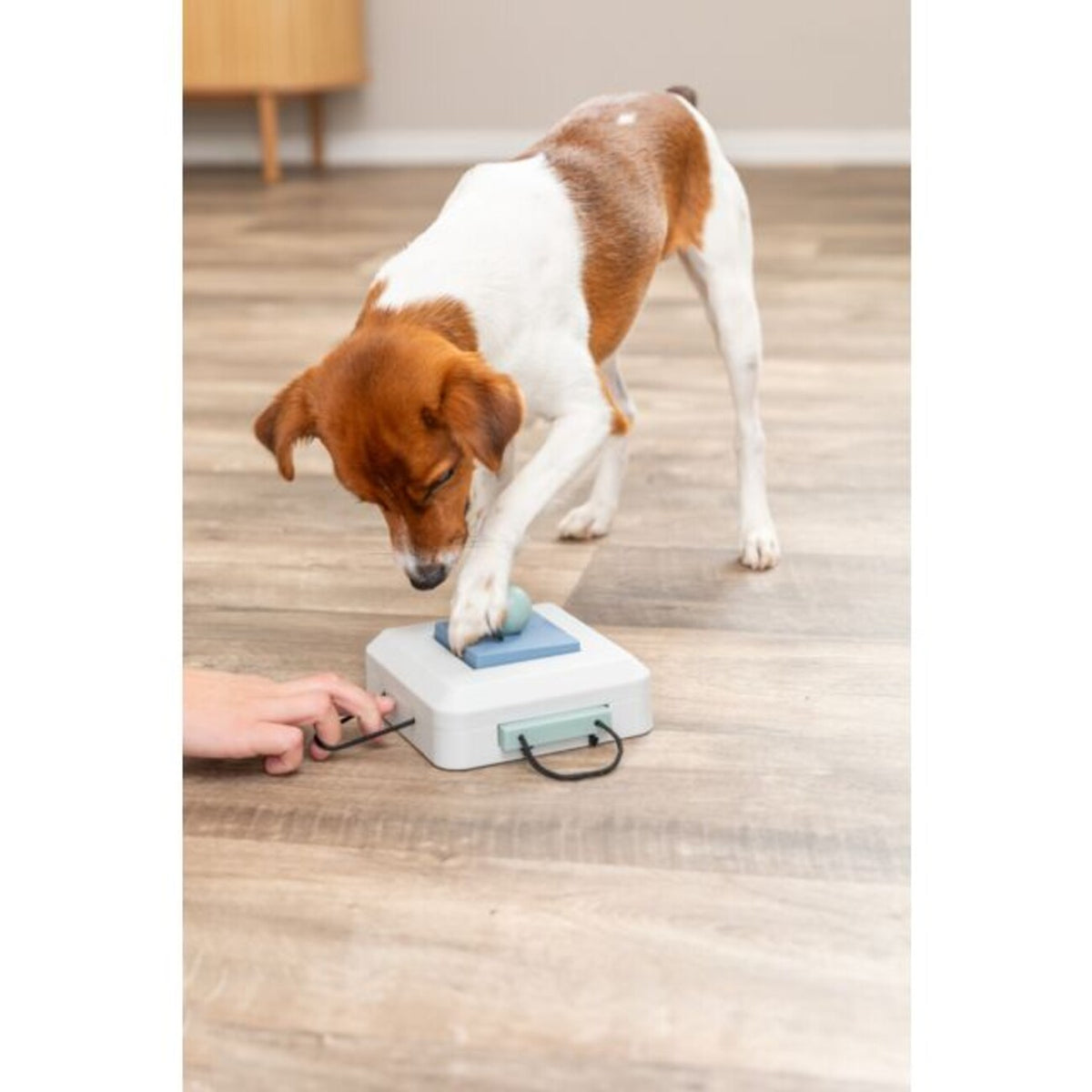 Dog Activity Strategiespiel Gamble Box für Hunde – 15 × 9 × 15 cm