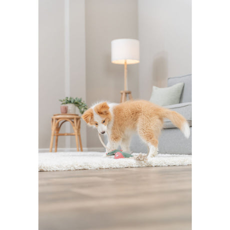 Hundespielzeug Drache am Tau, aus Echtleder/Tau – 55 cm