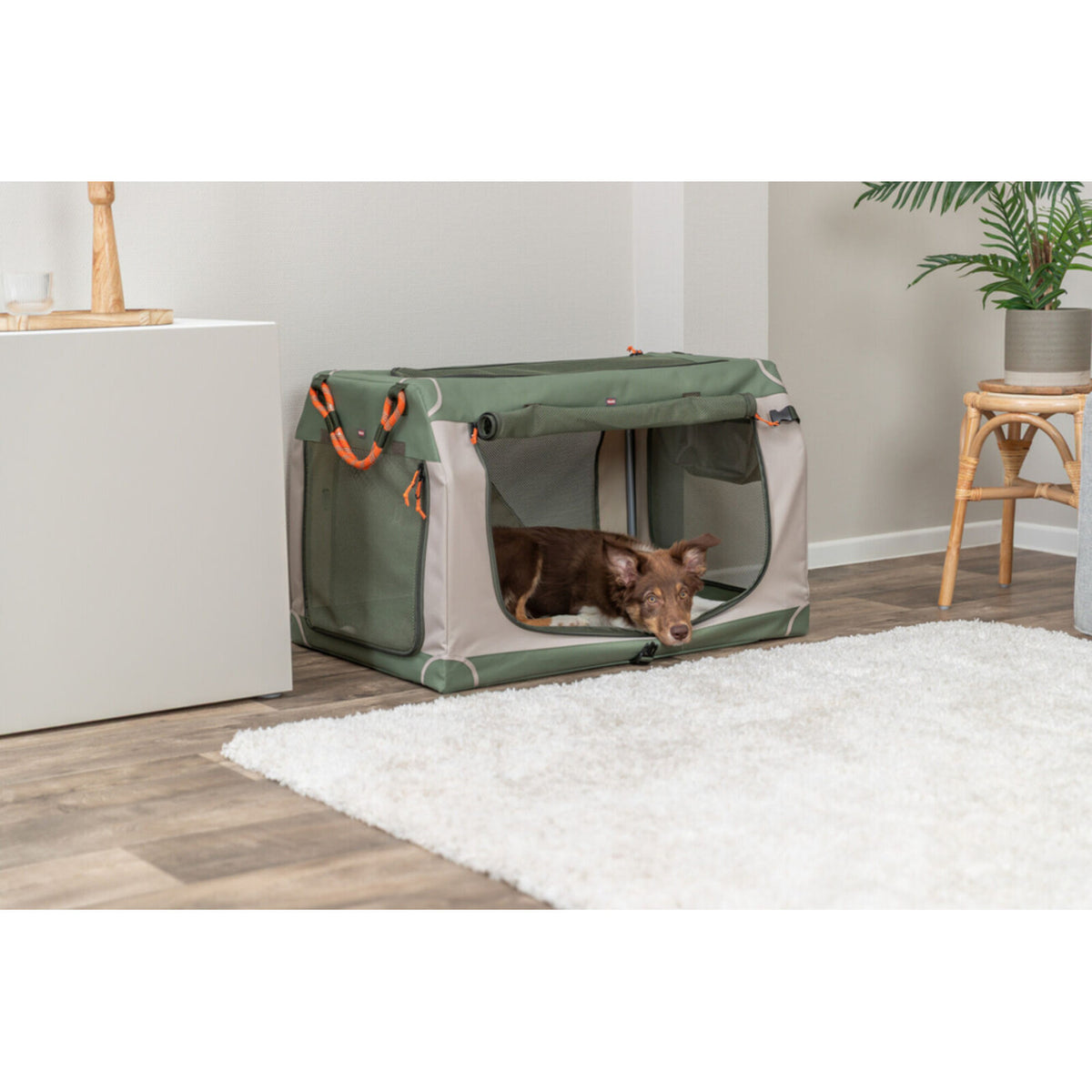 TRIXIE Hundebox Comfy – Sicherer & bequemer Transport für Deinen Hund