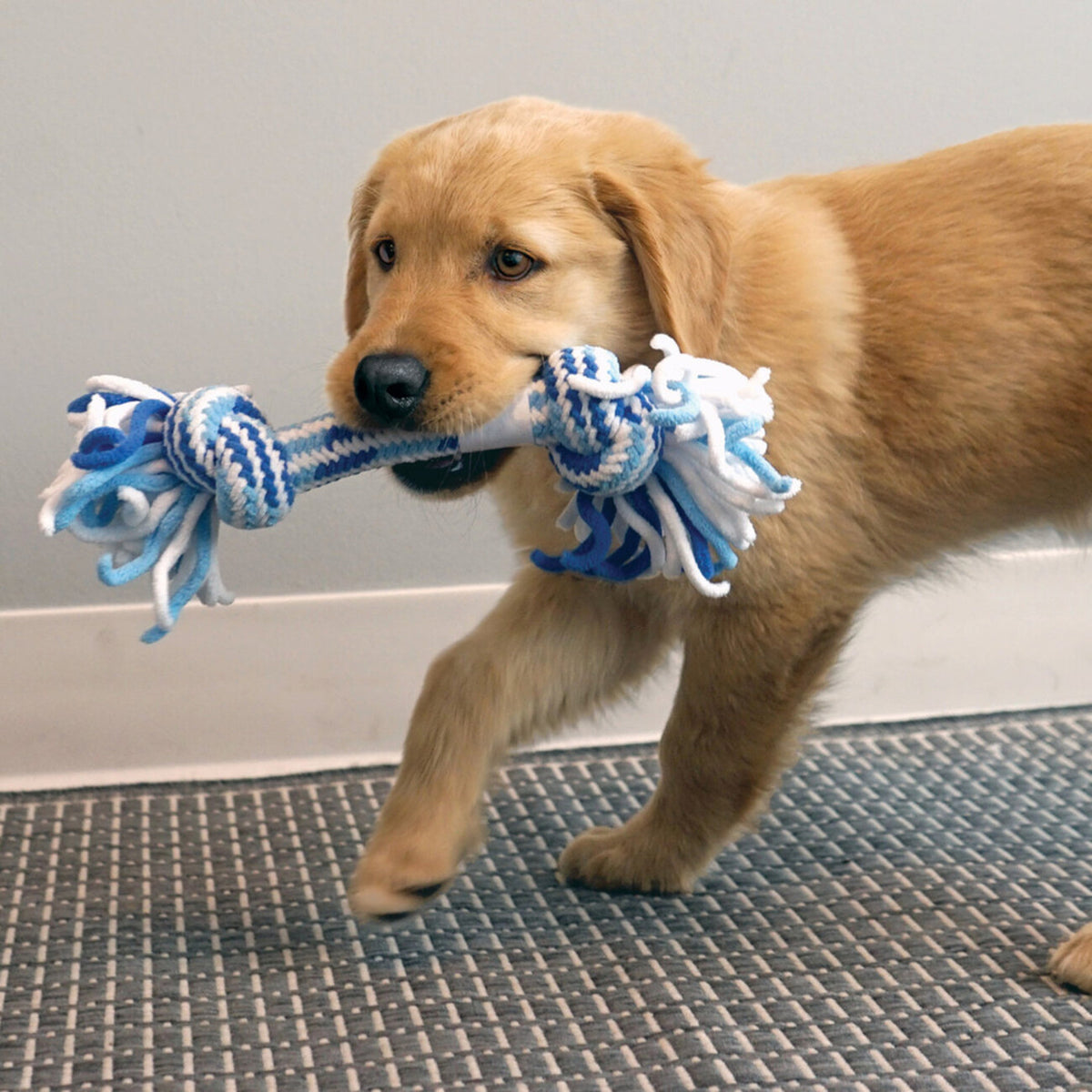Rope Ring Puppy für Welpen – 26 x 9,5 cm