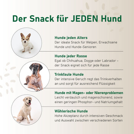 Probierpaket "12er Mix" - für jeden Hund!