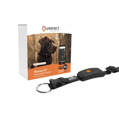 XT GPS Tracker für Hunde mit Lebenslanger Garantie – schwarz&schwarz