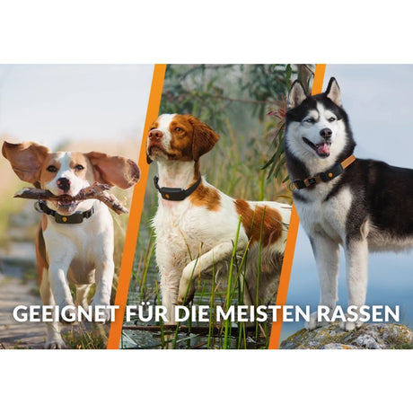 XT GPS Tracker für Hunde mit Lebenslanger Garantie