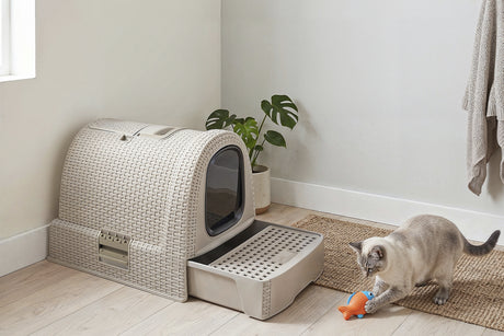 Curver Katzentoilette Misty – Rattanoptik 51 × 38,5 × 39,5 cm