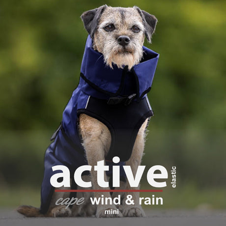 Hundejacke Active Cape Wind and Rain Mini
