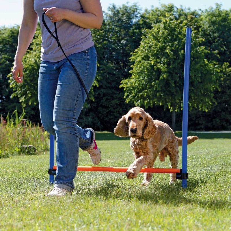 Trixie Agility Hürde