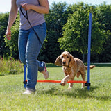 Trixie Agility Hürde