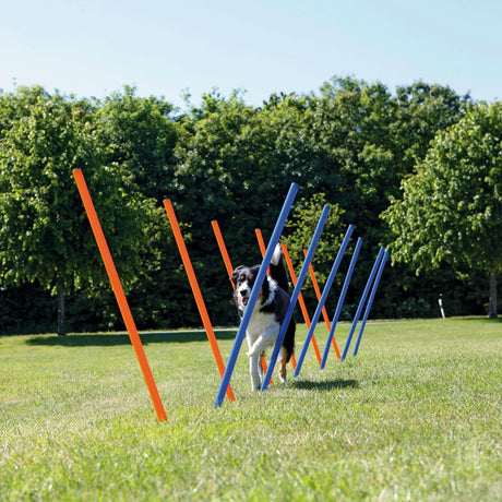 Agility Slalom Stangen für Hunde