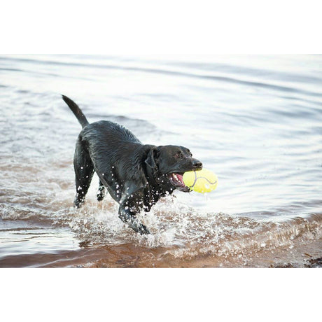 Air KONG Football Hundeball