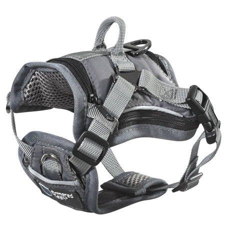 2-in-1 All Weather Hundegeschirr mit Jacke