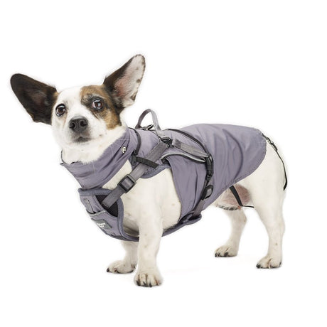 2-in-1 All Weather Hundegeschirr mit Jacke