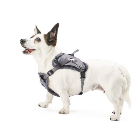 2-in-1 All Weather Hundegeschirr mit Jacke