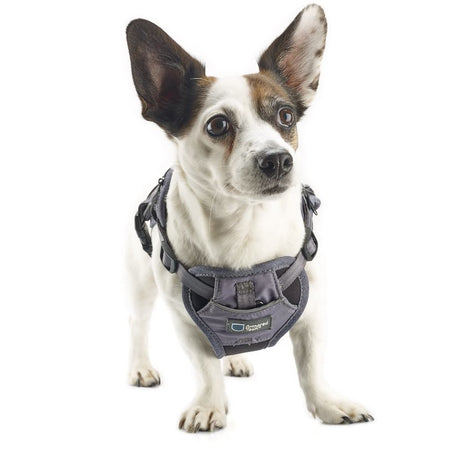 2-in-1 All Weather Hundegeschirr mit Jacke