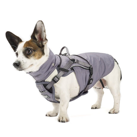 2-in-1 All Weather Hundegeschirr mit Jacke
