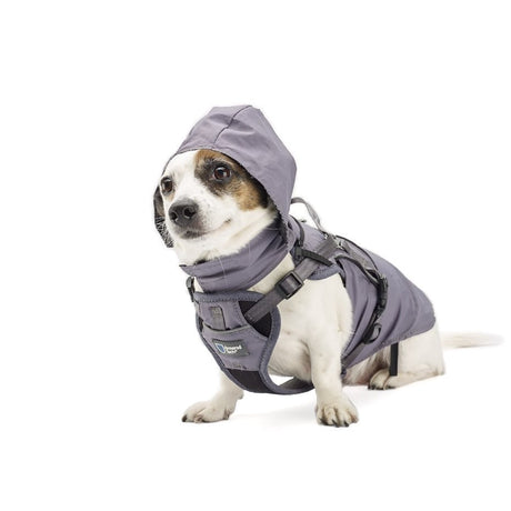2-in-1 All Weather Hundegeschirr mit Jacke