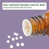 AniForte Bachblüten Gewitter & Silvester  Globuli für Hunde & Katzen 15 g