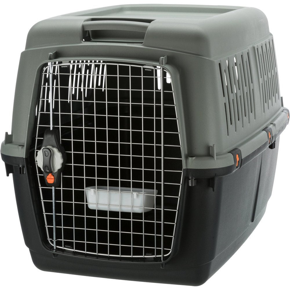 Be Eco Transportbox Flugbox Giona